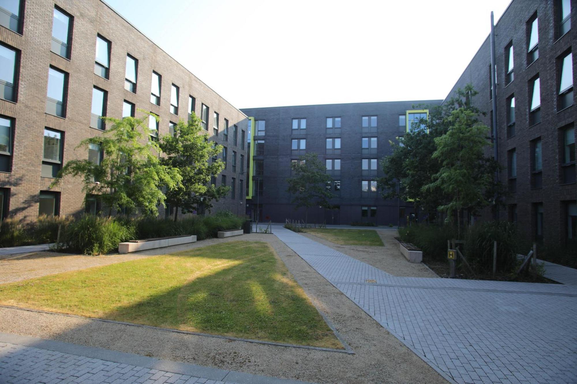 University Of Galway Apartments Rom bilde